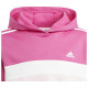 Adidas Παιδικό σετ JG 3-Stripes Tierio Fleece